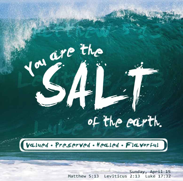 you are the salt of the world verse