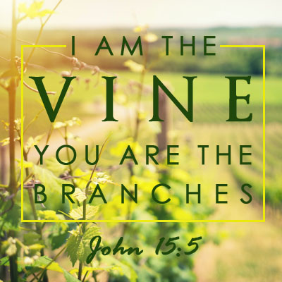 Abide in the Vine - Without Me You Can Do Nothing - EP47 - United Faith ...
