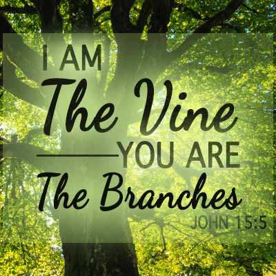 Remain in Him - Stay Connected To The Vine - EP40 - United Faith Church