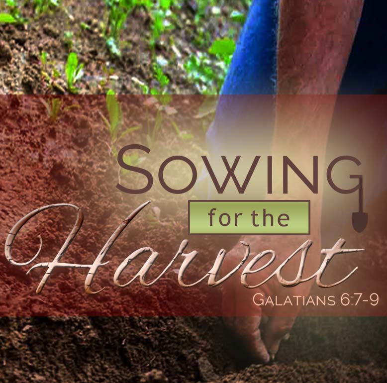 jesus and reaping the harvest