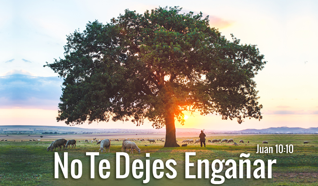 Featured image for “No Te Dejes Engañar”